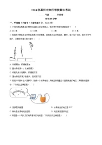 广东省惠州市惠阳区惠州市知行学校九年级上学期期末物理试题（原卷版）-A4