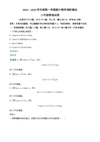 广东省湛江市徐闻县2024—2025学年八年级上学期期中调研测试物理试题（解析版）-A4
