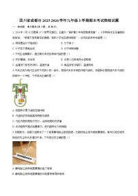 四川省成都市2025-2026学年九年级上学期期末考试物理试题-自定义类型