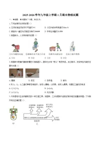 2025-2026学年九年级上学期1月期末物理试题-自定义类型
