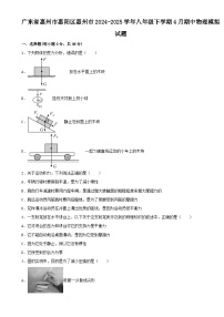 广东省惠州市惠阳区惠州市八年级下学期4月期中物理模拟试题（练习卷）-A4