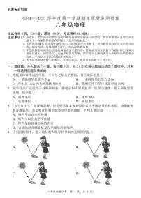 广东省阳江市江城区2024-2025学年八年级上学期期末考试物理试题
