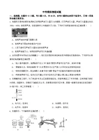 湖南省岳阳市2026年中考模拟物理试题附答案