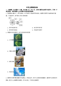 广东省珠海市2026年中考三模物理试卷附答案