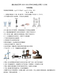 2025-2026学年湖北省武汉市九年级上学期12月考考试物理试卷（学生版）