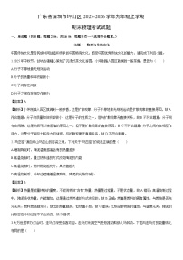 2025-2026学年广东省深圳市坪山区九年级上学期期末考试物理试卷（解析版）