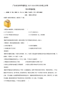 2025-2026学年广东省深圳市福田区九年级上学期期末物理试卷（解析版）