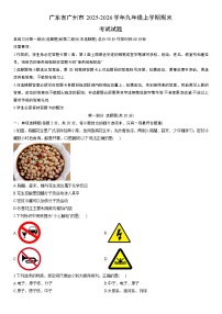 2025-2026学年广东省广州市九年级上学期期末考试物理试卷（学生版）