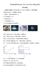 2025-2026学年四川省资阳市安岳县八年级上学期期末物理试卷（学生版）