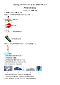 2024-2025学年湖北省宜昌市八年级下学期期中质量监测作业物理试卷（学生版）