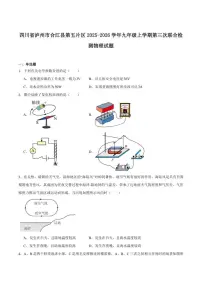 四川省泸州市合江县第五片区2026届九年级上学期第三次联合检测物理（含答案）试卷