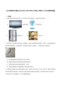 辽宁省铁岭市调兵山市2026届九年级上学期12月月考物理（含答案）试卷