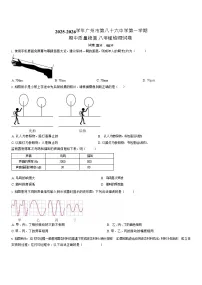 广东省广州市第八十六中学2025-2026学年八年级上学期期中物理试题（学生版）