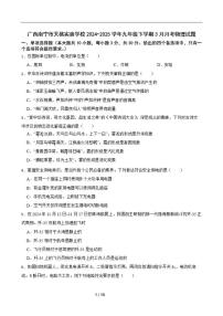 2024-2025学年广西南宁市天桃实验学校九年级下学期3月月考物理试题（含答案）