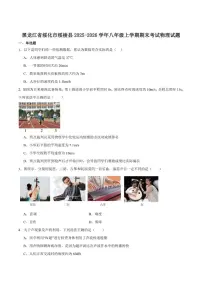2025-2026学年黑龙江省绥化市绥棱县（五四制）八年级上学期1月期末考试物理试卷（含答案）