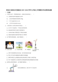 黑龙江省绥化市绥棱县2026届（五四制）九年级上学期期末考试物理试卷（含答案）