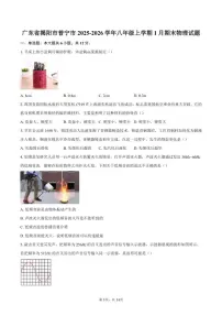 2025-2026学年广东省揭阳市普宁市八年级上学期1月期末物理试题（含答案）