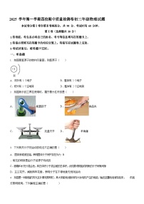 广东省广州市第一一三中学2025-2026学年九年级上学期期中物理试卷（学生版）