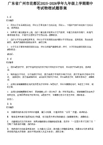 广东省广州市花都区2025-2026学年九年级上学期期中考试物理试题（解析版）