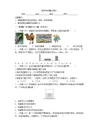 期末考试模拟试卷2（含解析）八年级下册物理【人教版 (2024)】