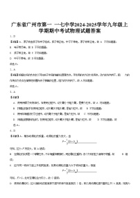 广东省广州市第一 一七中学2024-2025学年九年级上学期期中考试物理试题（解析版）