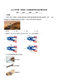 广东省广州市第一 一七中学2024-2025学年九年级上学期期中考试物理试题（学生版）