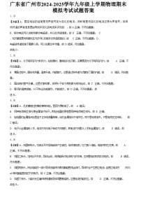 广东省广州市2024-2025学年九年级上学期物理期末模拟考试试题（解析版）