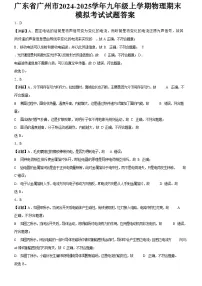 广东省广州市2024-2025学年九年级上学期物理期末模拟考试试题（解析版）