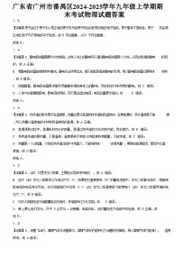广东省广州市番禺区2024-2025学年九年级上学期期末考试物理试题（解析版）