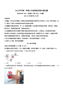 广东省广州市番禺区2024-2025学年九年级上学期期末考试物理试题（学生版）