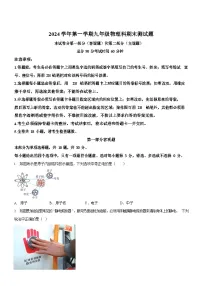 广东省广州市番禺区2024-2025学年九年级上学期期末考试物理试题（学生版）