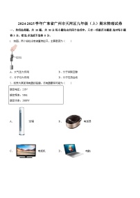 广东省广州市天河区2024-2025学年九年级上学期期末考试物理试题（学生版）