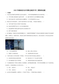 2025届湖南省长沙市雅礼集团九年级中考二模物理试卷（含答案）
