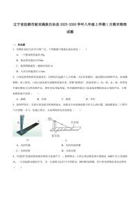 2025-2026学年辽宁省抚顺市新宾满族自治县八年级上学期1月期末考试物理试卷（含答案）
