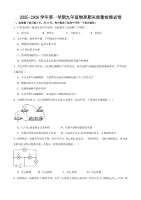 2025-2026学年甘肃省武威第十七中学等学校九年级上学期期末质量检测物理试卷（含答案）