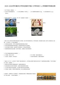 2025~2026学年重庆沙坪坝区重庆市第八中学校初二上学期期中物理试卷（有答案解析）