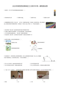 2025年陕西西安碑林区工大附中中考一模物理试卷（有答案解析）