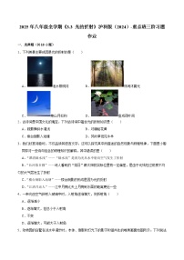 初中沪科版（2024）光的折射精练
