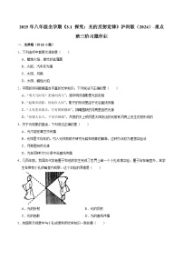 沪科版（2024）八年级全册（2024）探究：光的反射定律同步测试题