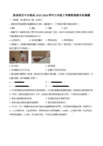 陕西省汉中市勉县2025-2026学年九年级上学期物理期末检测题-自定义类型