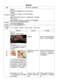 初中物理人教版（2024）八年级下册（2024）跨学科实践：制作简易杆秤表格教案及反思