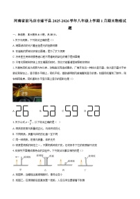 河南省驻马店市遂平县2025-2026学年八年级上学期1月期末物理试题-自定义类型