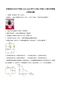 河南省驻马店市平舆县2025-2026学年九年级上学期2月期末学情测评物理试题-自定义类型