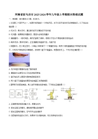 河南省驻马店市2025-2026学年九年级上学期期末物理试题-自定义类型