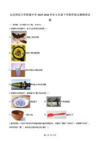 2025-2026学年北京师范大学附属中学九年级下学期月考学情自测物理试题（含答案）