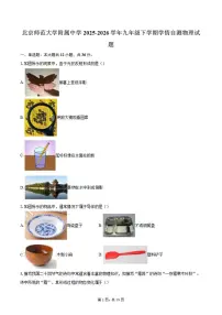 2025-2026学年北京师范大学附属中学九年级下学期月考学情自测物理试题（含答案）