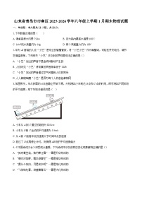 山东省青岛市市南区2025-2026学年八年级上学期1月期末物理试题-自定义类型