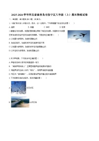 2025-2026学年河北省秦皇岛市抚宁区八年级（上）期末物理试卷-自定义类型