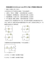 河南省南阳市内乡县2025-2026学年九年级上学期期末物理试卷-自定义类型