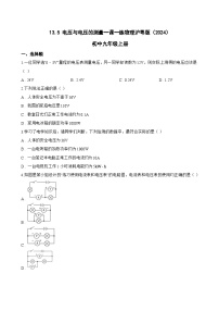 九年级上册（2024）13.5 电压与电压的测量课堂检测
